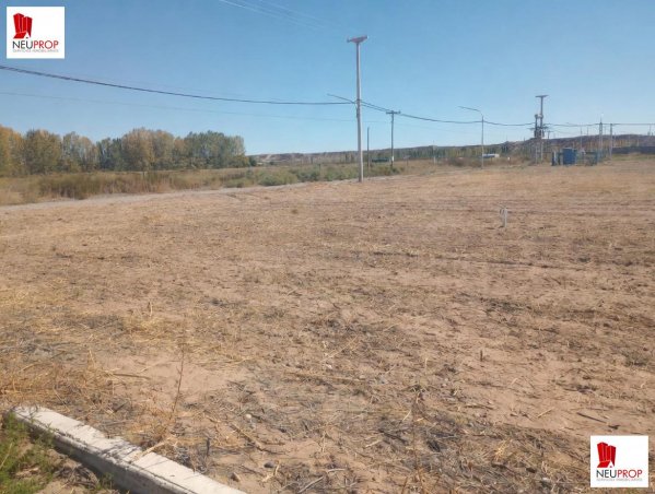 Lote | Plottier
