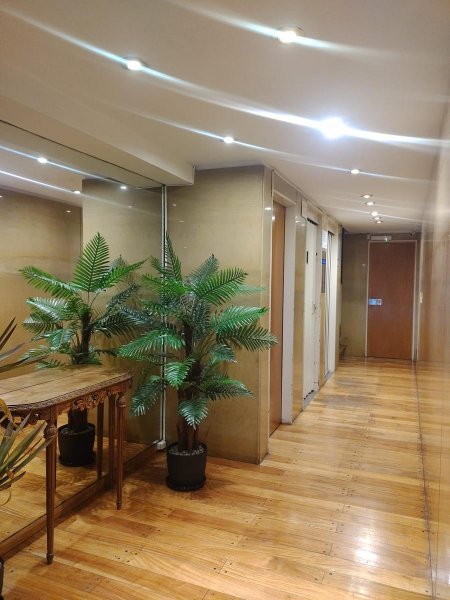 Departamento en alquiler | 2 ambientes | Colegiales
