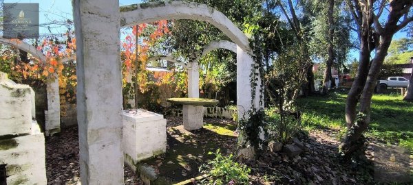 Lote | Ca&ntilde;uelas