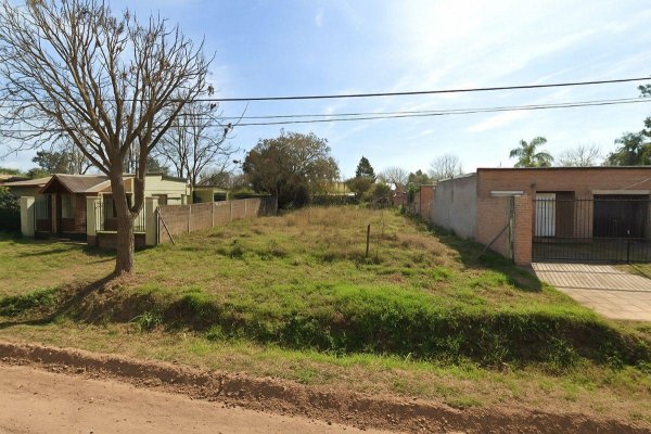 Lote | Funes