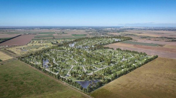 Lote | Ibarlucea