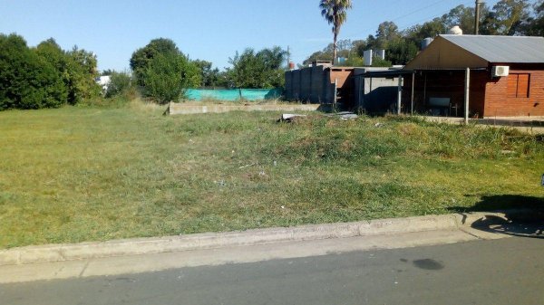 Lote | General Lagos