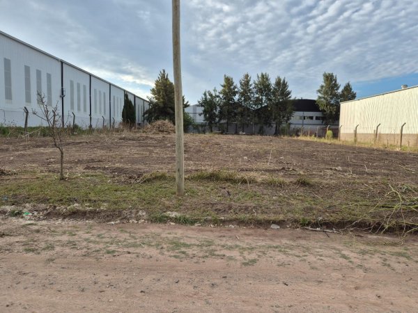 Lote | Burzaco
