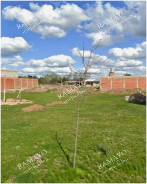 Lote | Guernica