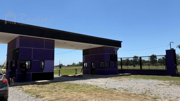Lote | Merlo