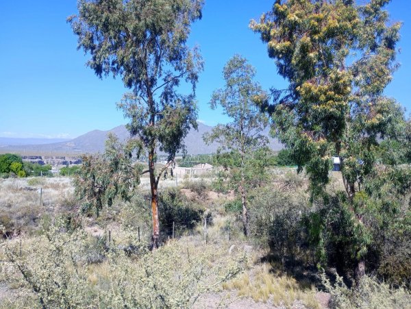 Lote | Blanco Encalada | Lujan De Cuyo