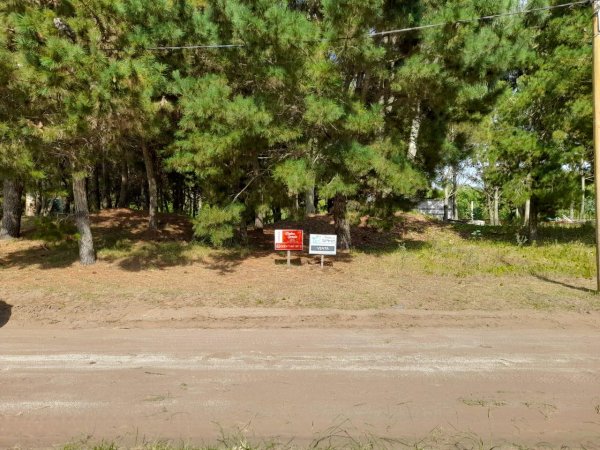 Lote | San Bernardo
