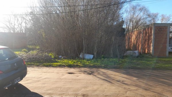 Lote | San Bernardo