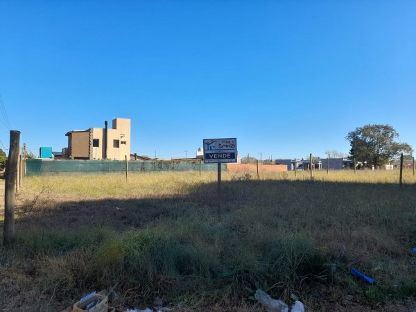 Lote | San Bernardo