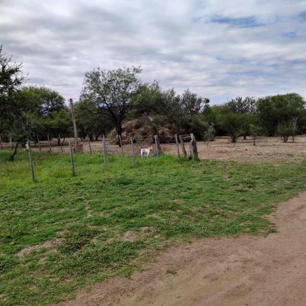 Lote | San Luis