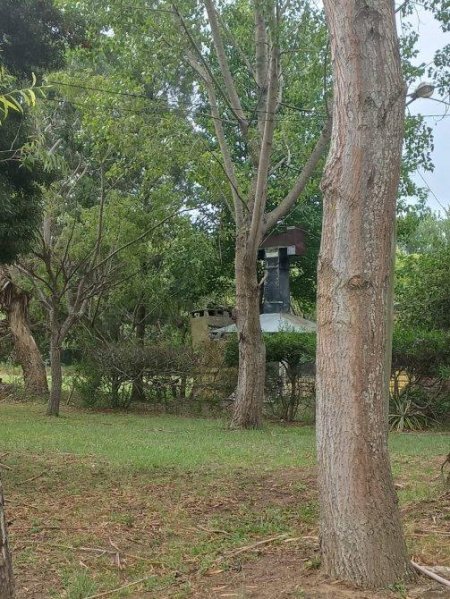 Lote | Mar De Ajo