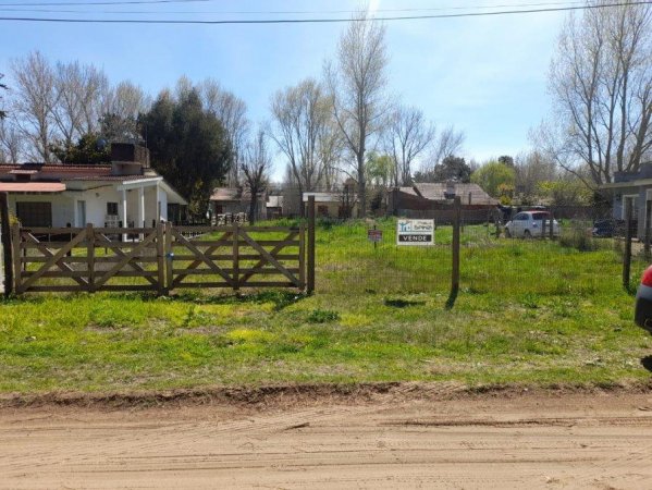 Lote