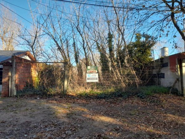 Lote | San Bernardo