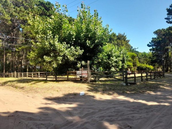 Lote | La Lucila Del Mar