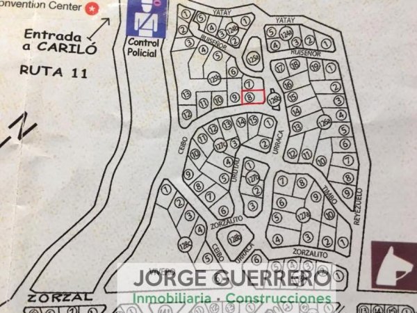 Lote | Caril&oacute;