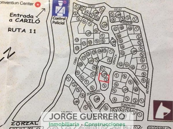 Lote | Caril&oacute;