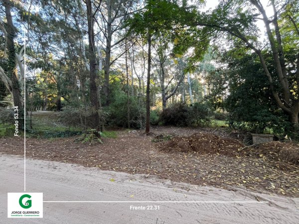 Lote | Caril&oacute;