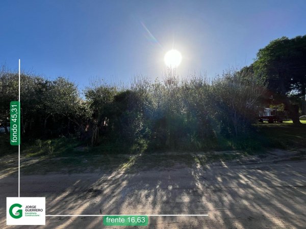 Lote | Caril&oacute;