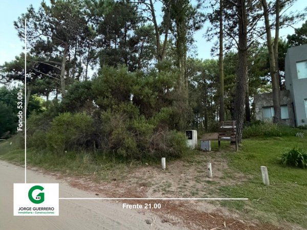 Lote | Caril&oacute;
