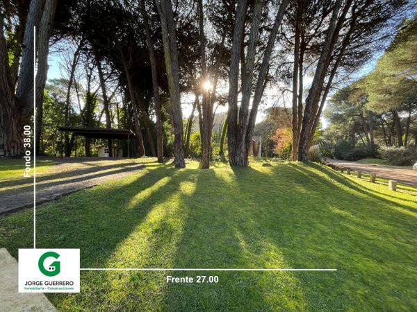 Lote | Caril&oacute;