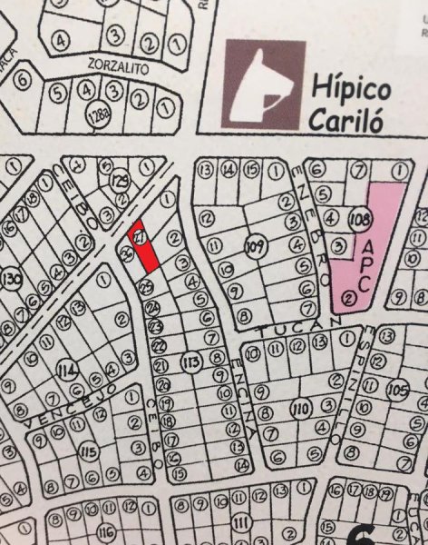 Lote | Caril&oacute;