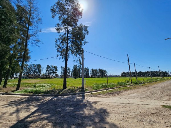 Lote | General Lagos