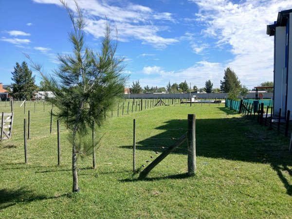 Lote | Domselaar