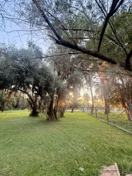 Lote | Funes