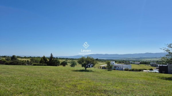 Lote | Los Reartes