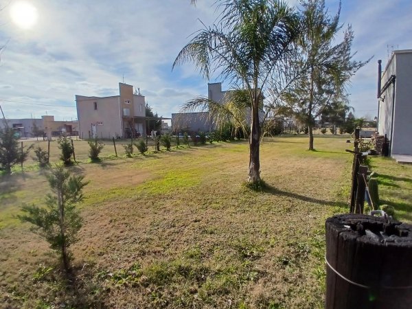 Lote | Domselaar