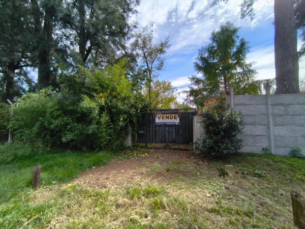 Lote | Francisco Alvarez | Gonzalez Moreno