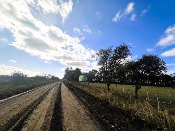 Lote | San Lorenzo
