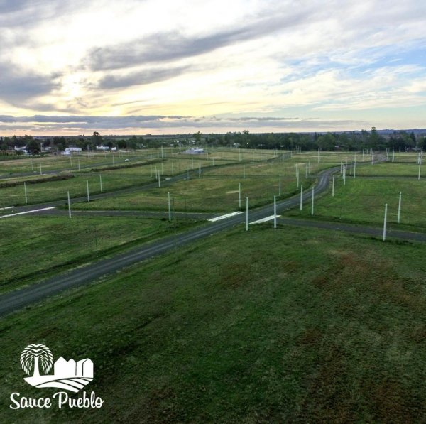 Lote | Parana