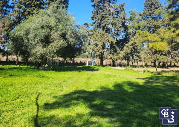 Campo en venta | Zarate