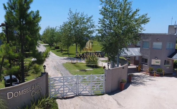 Lote | Domselaar
