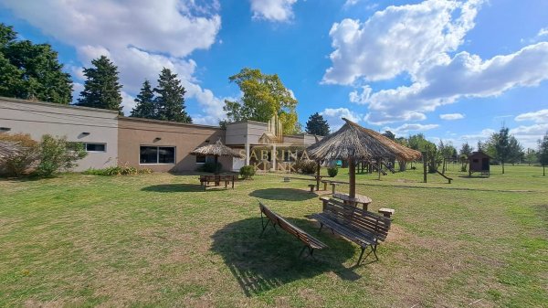 Lote | Domselaar