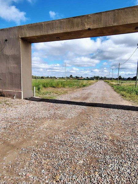 Lote | Buen Orden | San Martin ,est.lib.grl.san Martin