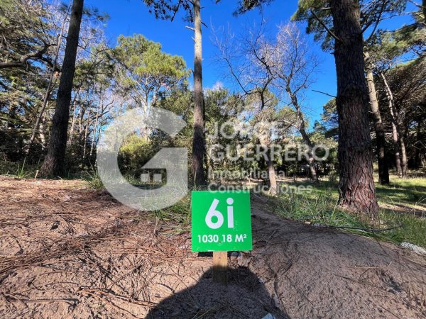 Lote | Caril&oacute;