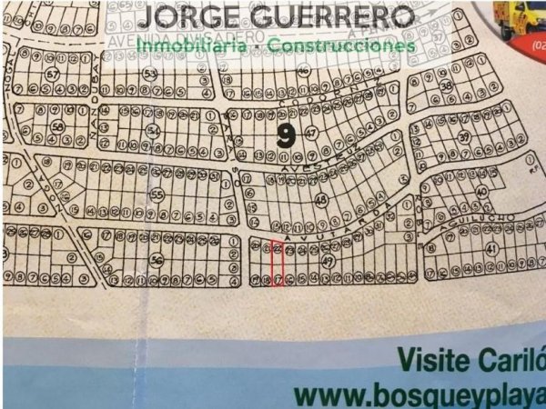 Lote | Caril&oacute;