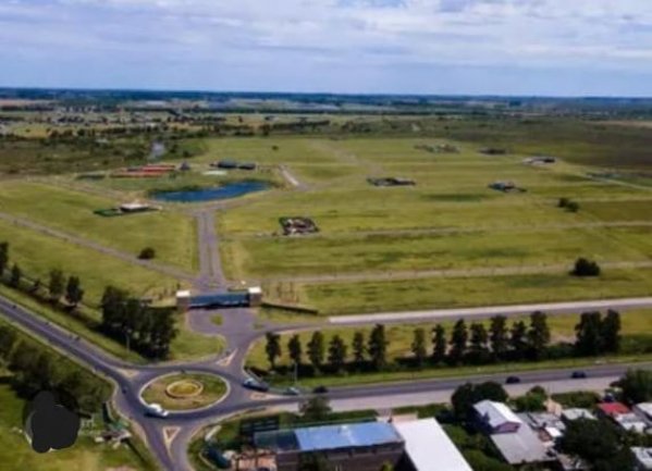 Lote | Funes