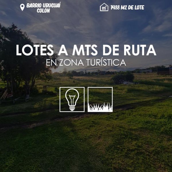 Lote | Colon