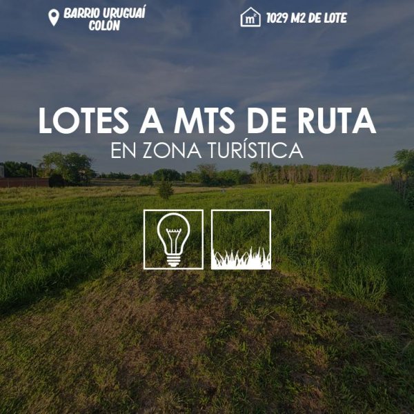 Lote | Colon