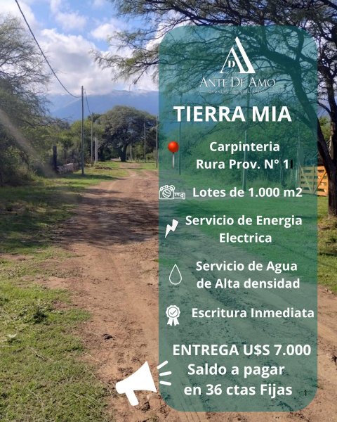 Lote | Carpinteria