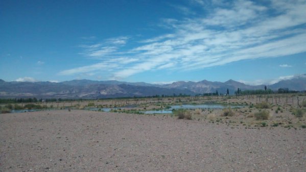 Lote | Uspallata