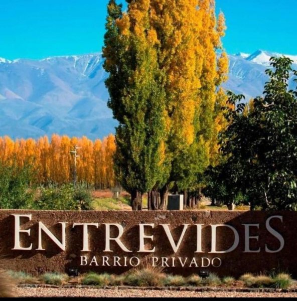Lote | Tupungato