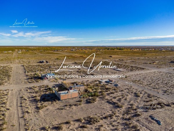 Lote | Centenario