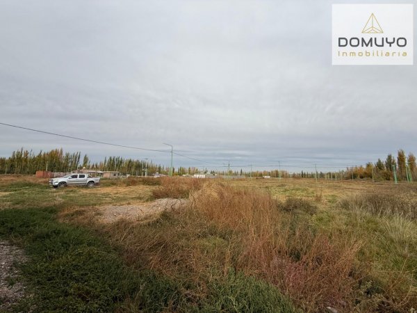 Lote | Cinco Saltos