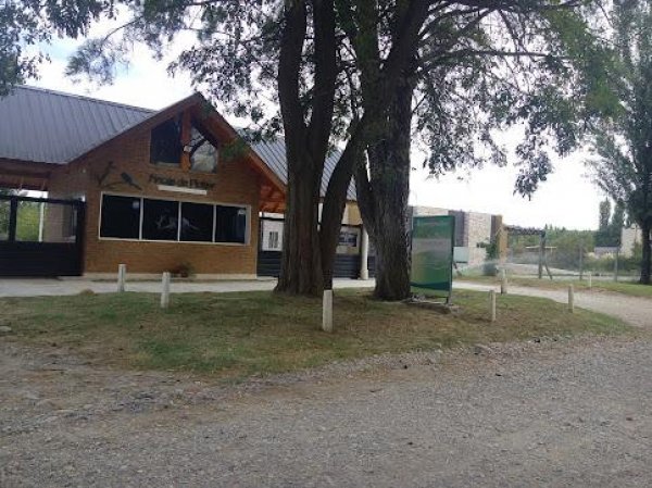 Lote | Plottier