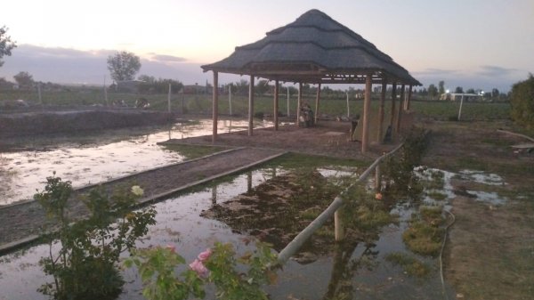 Lote | El Pastal