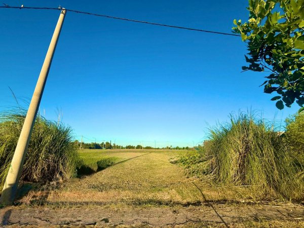 Lote | Arroyo Seco | Rosario